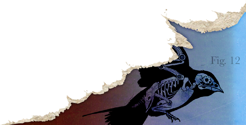 ARS bird
